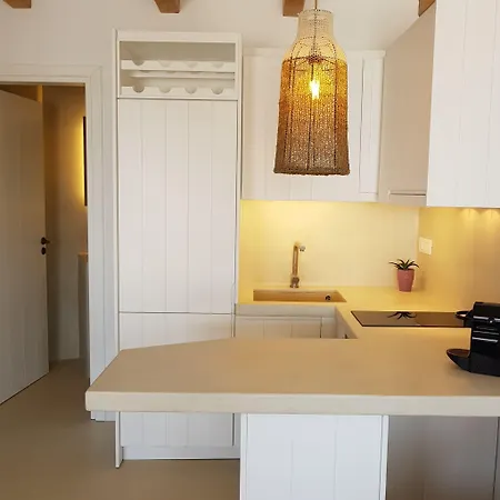 Vlia Mykonos דירה