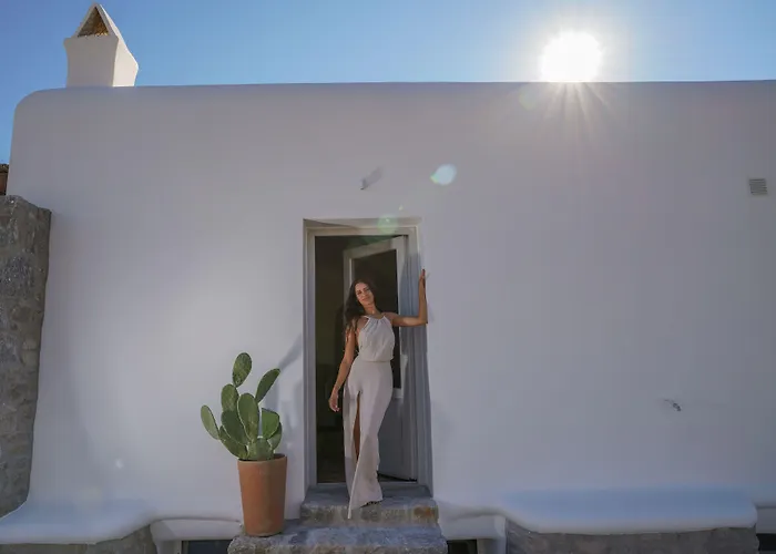 Appartamento Vlia Mykonos