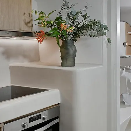 Vlia Mykonos * كالافاتيس
