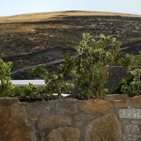 Vlia Mykonos * كالافاتيس